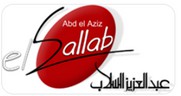 Abd El Aziz Sallab